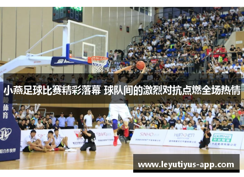 小燕足球比赛精彩落幕 球队间的激烈对抗点燃全场热情